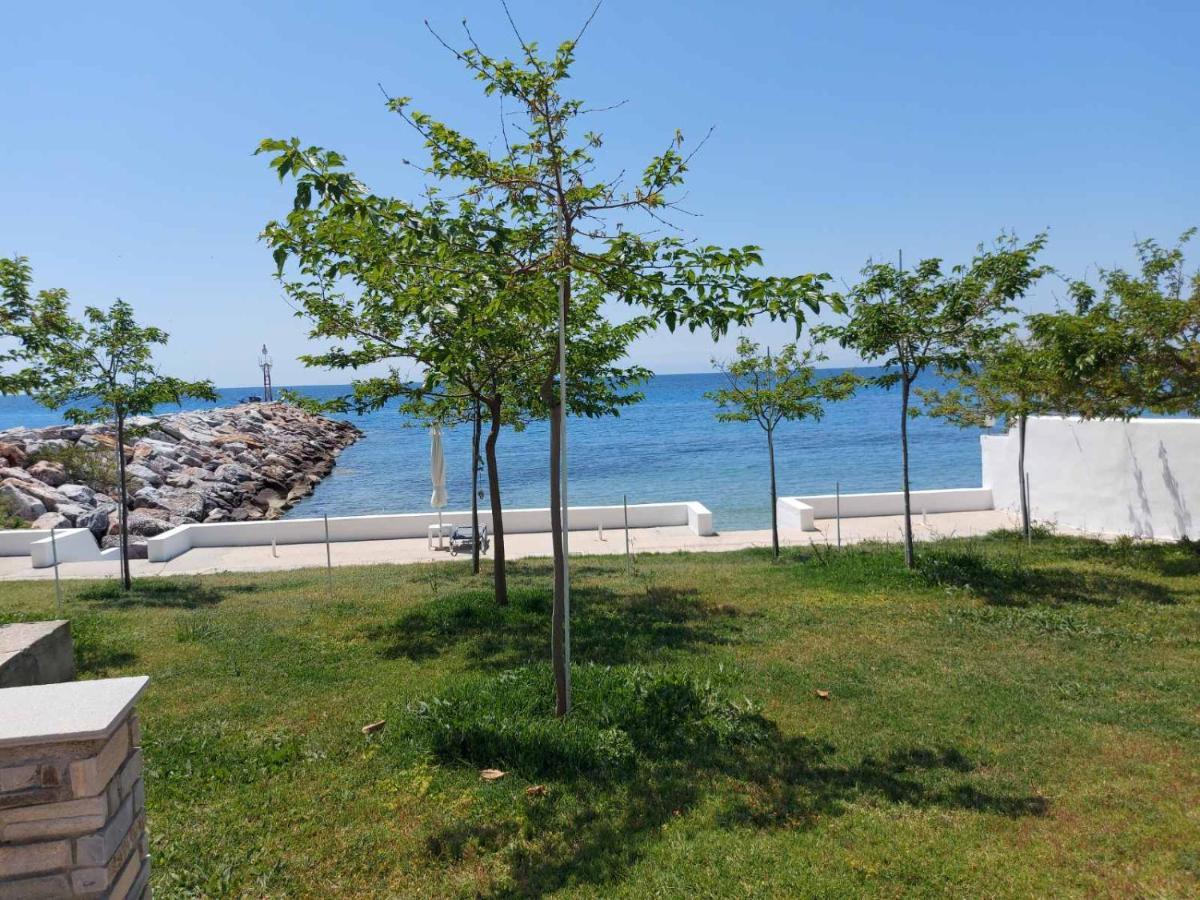 Pansion Alexandros By The Sea Aparthotel Nea Skioni Luaran gambar